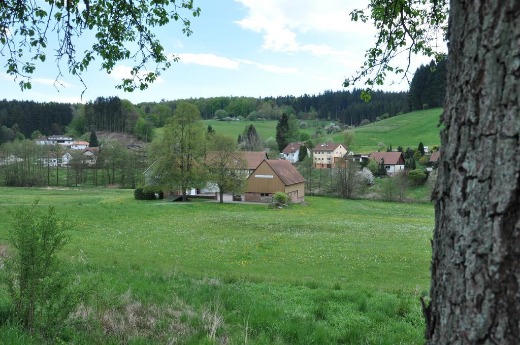 Ferienwohnungen Zur Muehle Mossautal Exterior photo